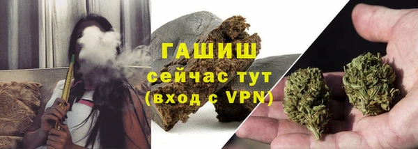 шишки Белокуриха