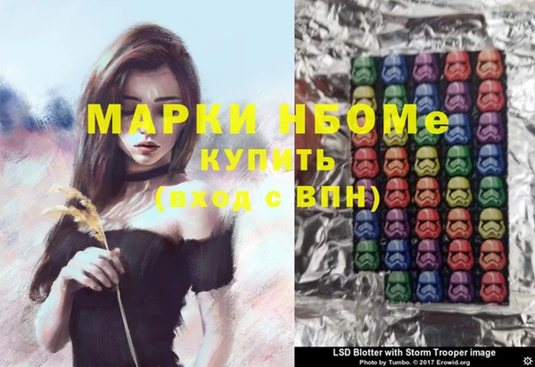 шишки Белокуриха