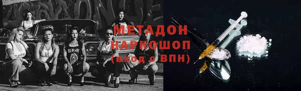 шишки Белокуриха