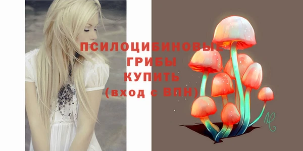 PSILOCYBIN Беломорск
