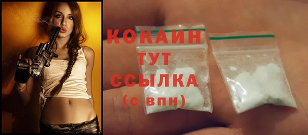 шишки Белокуриха