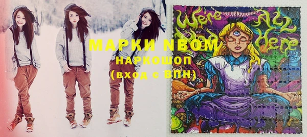 шишки Белокуриха