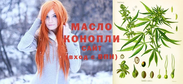 шишки Белокуриха