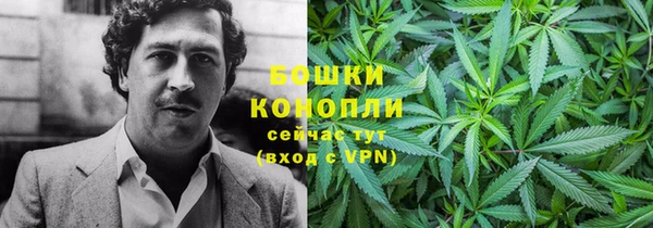 PSILOCYBIN Беломорск