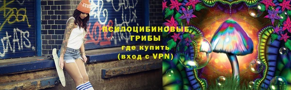 PSILOCYBIN Беломорск