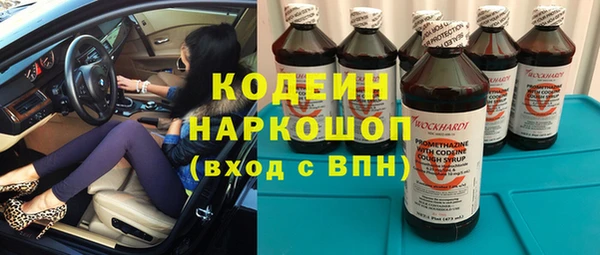 шишки Белокуриха