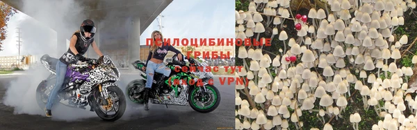 PSILOCYBIN Беломорск