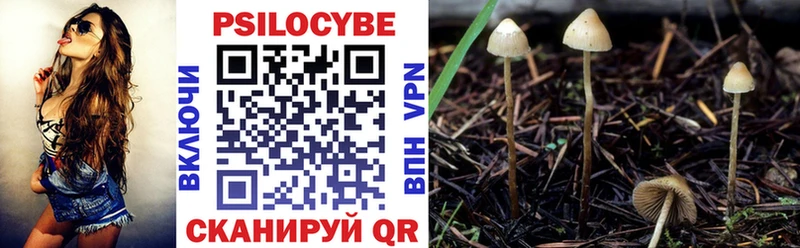 цена наркотик  Выборг  Галлюциногенные грибы ЛСД 